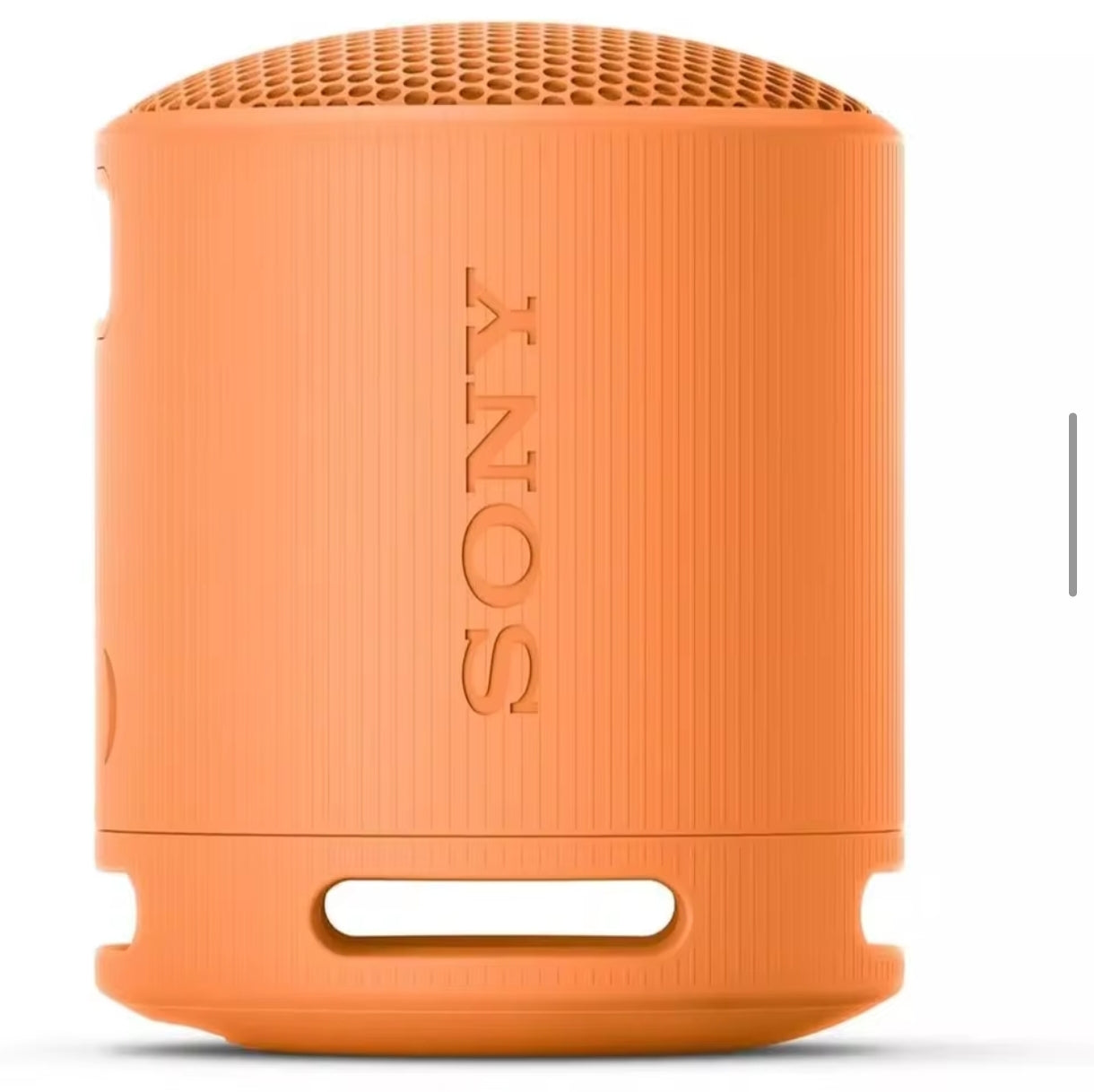 Sony SRS-XB100 Wireless Bluetooth Speaker – Powerful Bass in a Compact Design
